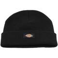 Šiltovky Dickies  GIBSLAND BEANIE