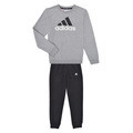 Súpravy vrchného oblečenia adidas Essentials Big Logo French Terry Joggers Set