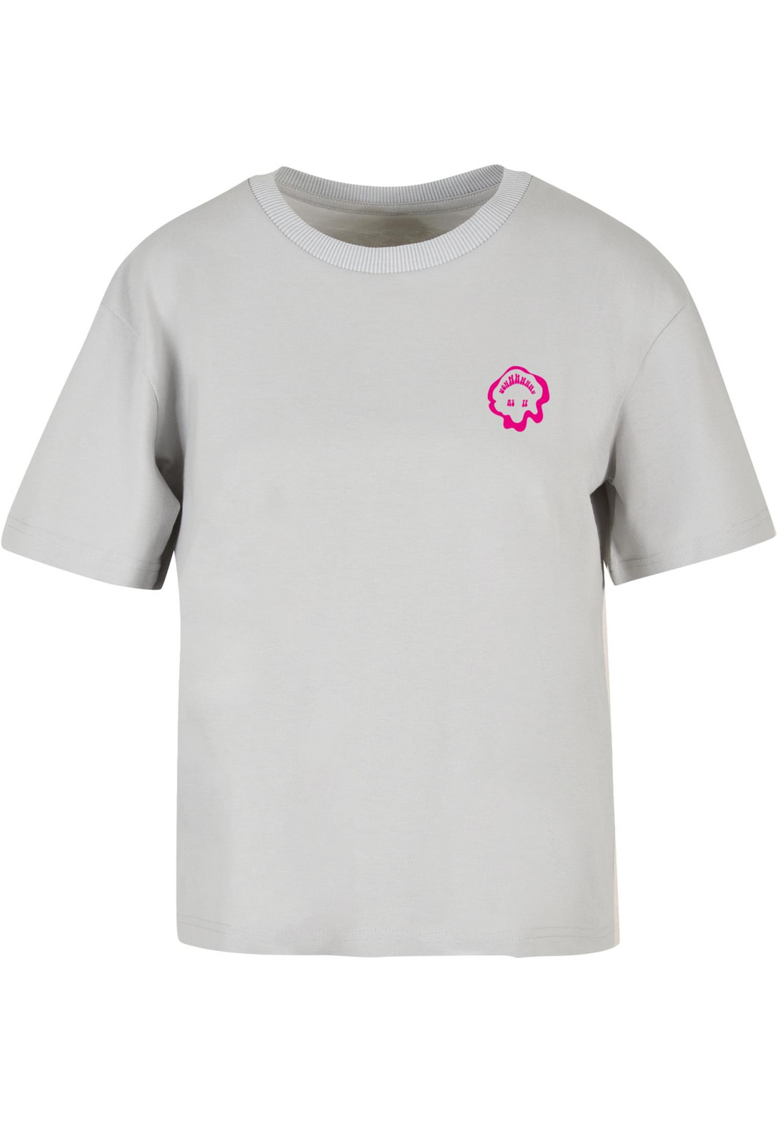 Women's Everything Is Nice T-shirt gray