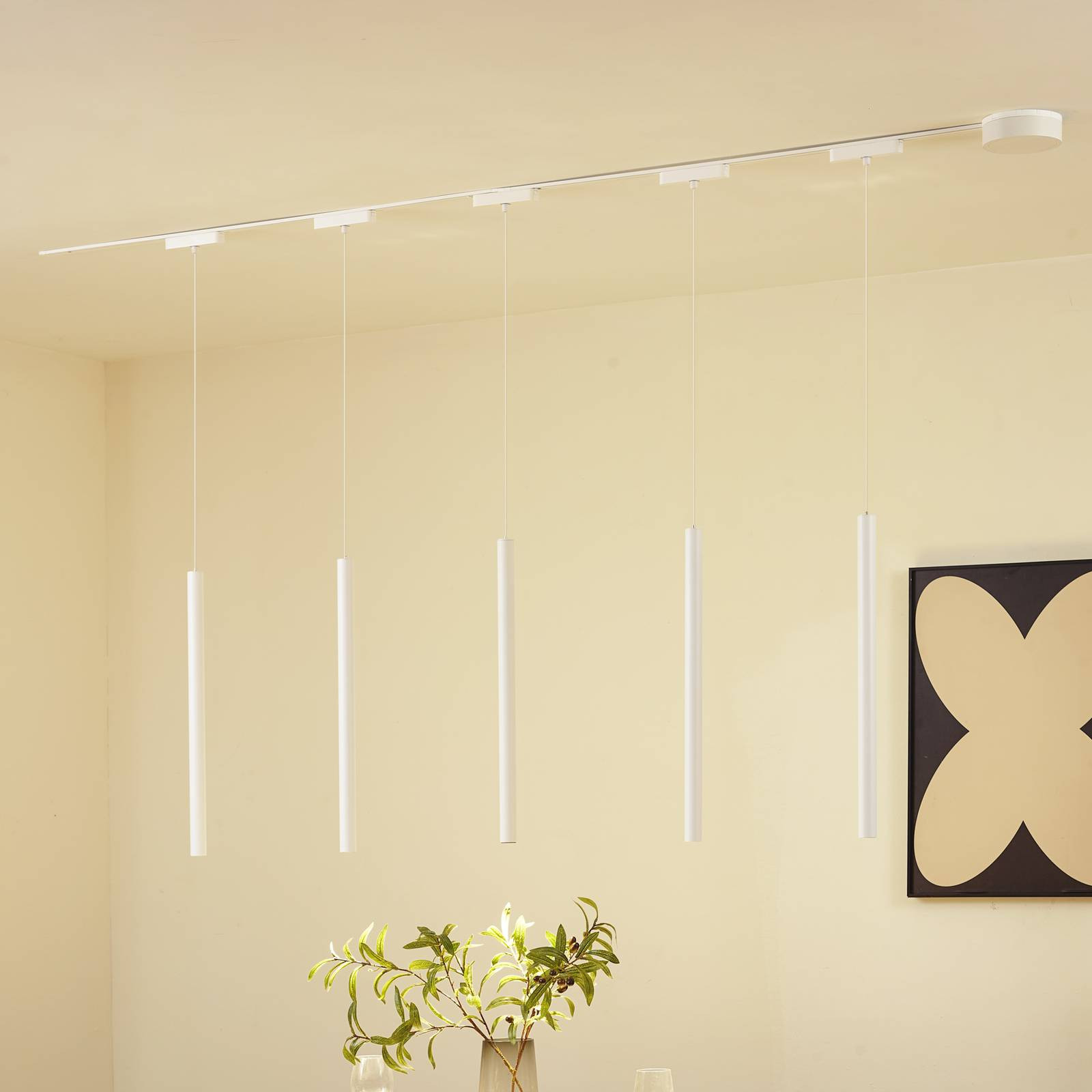 Systém Lumaro, závesný, trubicový, 5 svetiel, biely, 48 V, CCT