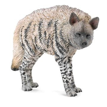 Collecta hyena žíhaná