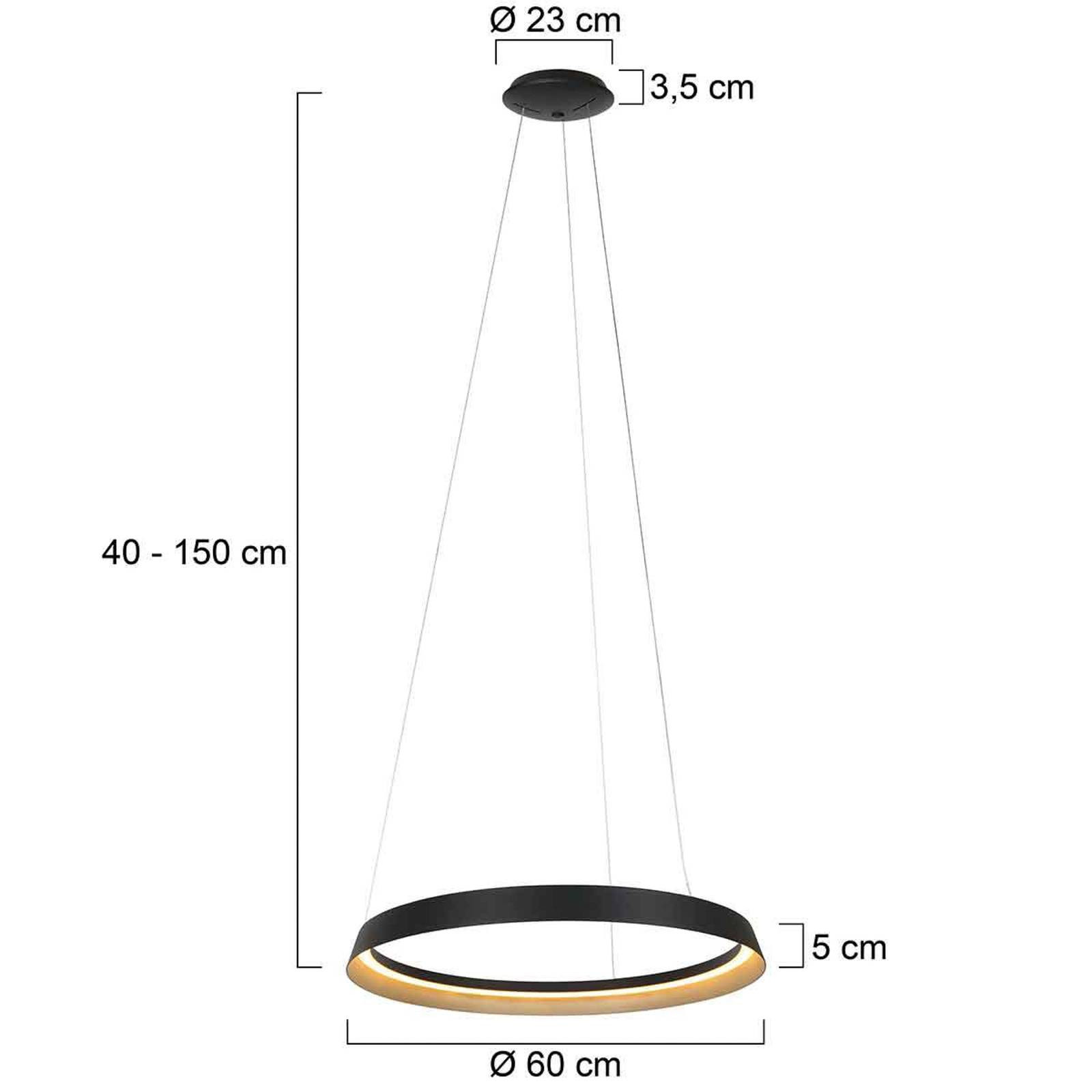 Závesné svietidlo Ringlux LED, 1 svetlo, čierna farba, kov