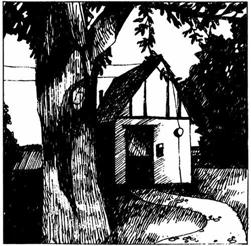 LEWIS, NAOMI - COTTAGE SONGS, Vinyl