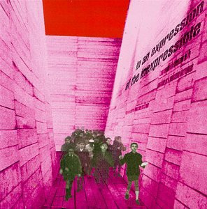 BLONDE REDHEAD - IN AN EXPRESSION OF THE INEXPRESSIBLE, Vinyl