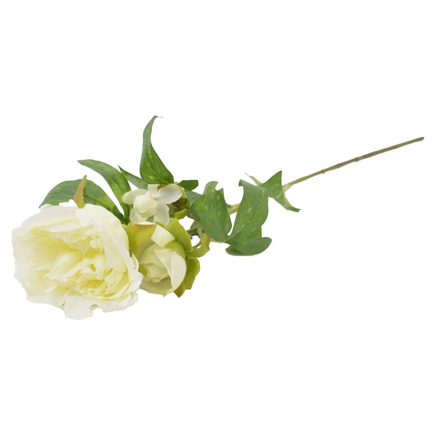 Peonia 59cm krémová A2010571