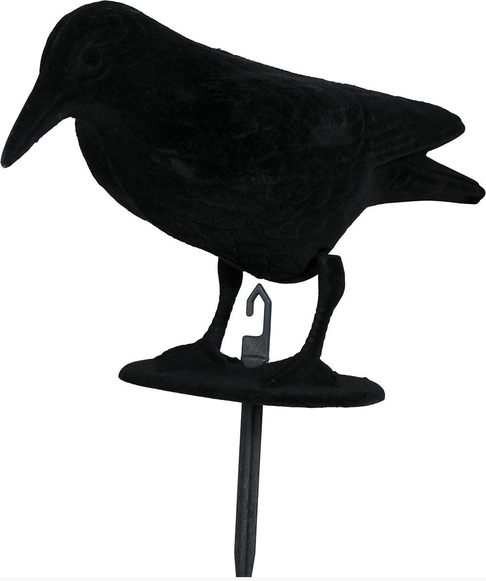 Guirca Zápich do kvetináča - Havran 30 cm