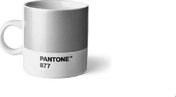 PANTONE Espresso - Silver 877 C, 120 ml