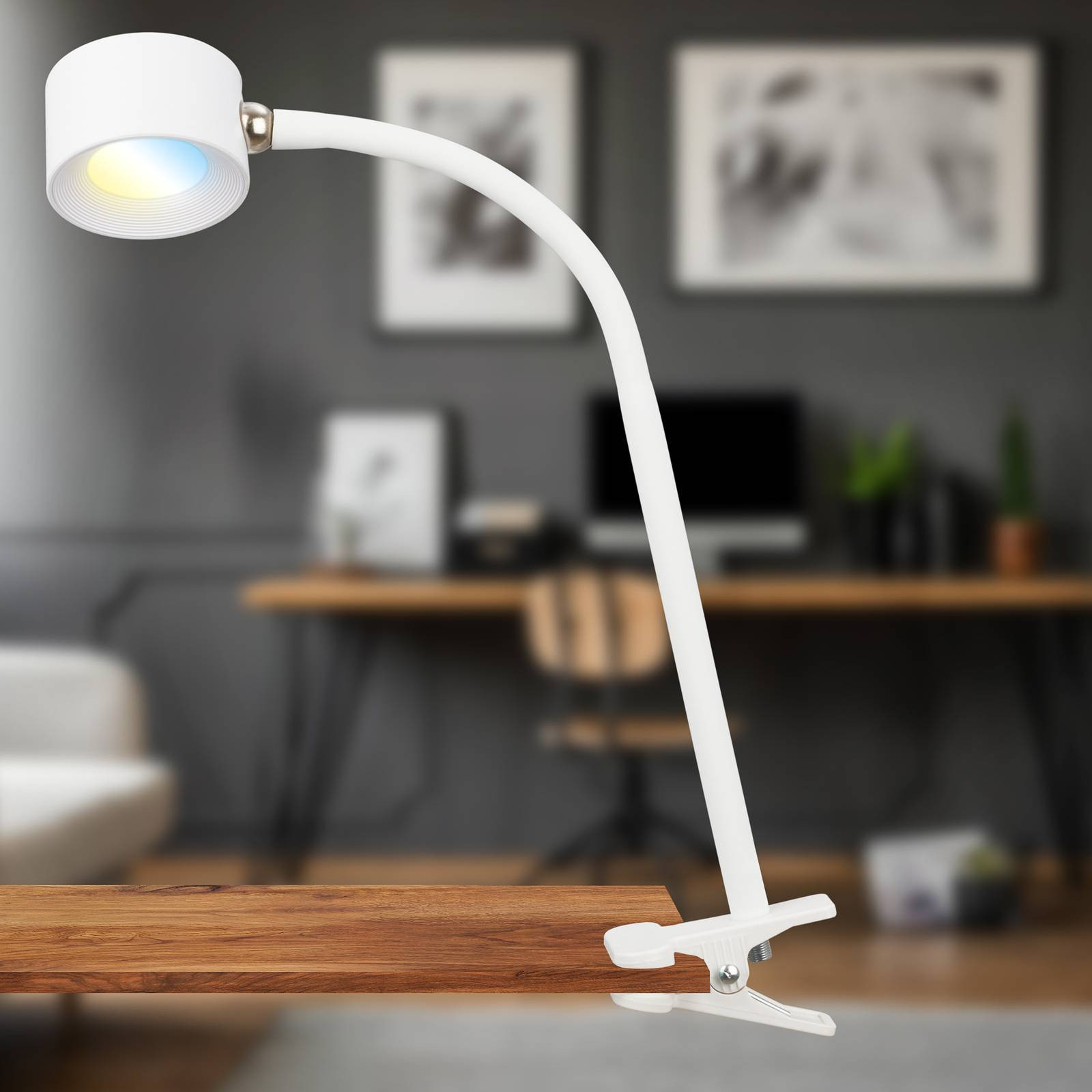 LED dobíjacie svietidlo Tari, biele, CCT, dotykový stmievač, USB