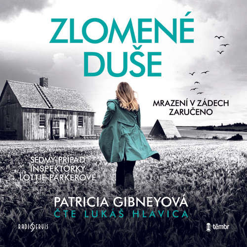 Zlomené duše - Patricia Gibneyová (mp3 audiokniha)