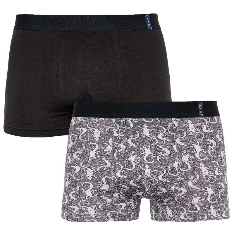2PACK men's boxers Molvy multicolored