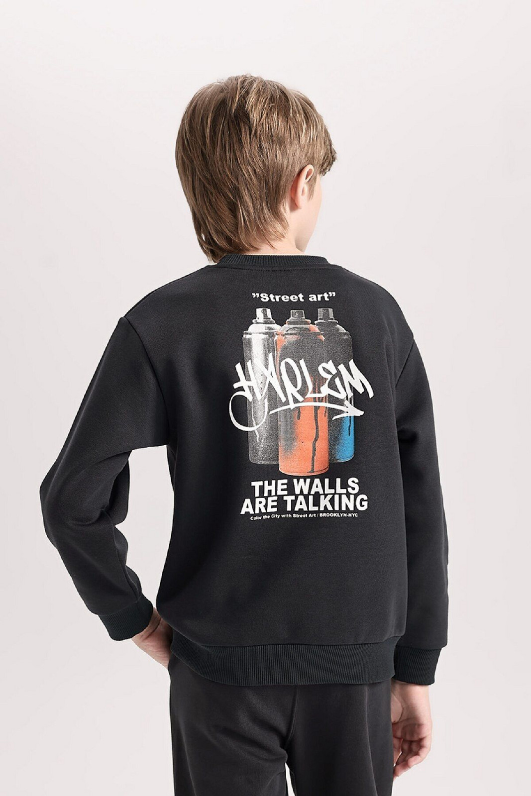DEFACTO Boy Regular Fit Crew Neck Back Printed Thick Sweatshirt