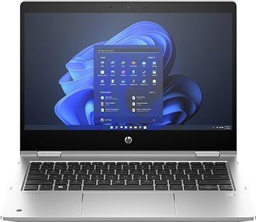 HP Pro x360 435 G10 Silver