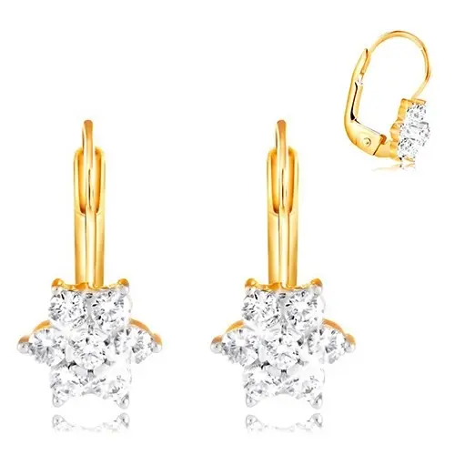 Zlaté náušnice 585 - trblietavý kvet z okrúhlych čírych zirkónov