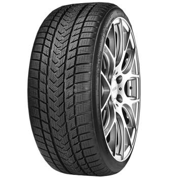 Gripmax Pro Winter 205/55 R17 95V