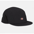 Šiltovky Dickies  Glendive cap