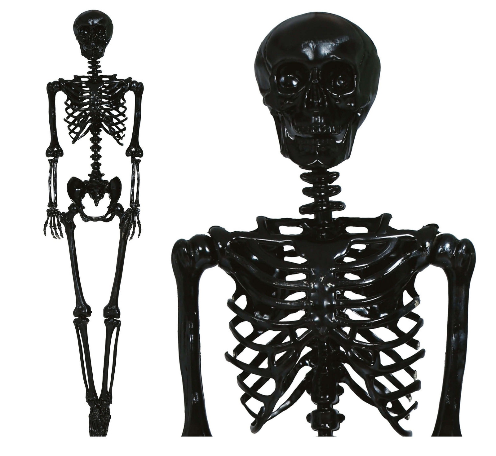 Dekorácia - Kostra v čiernej farbe 160 cm