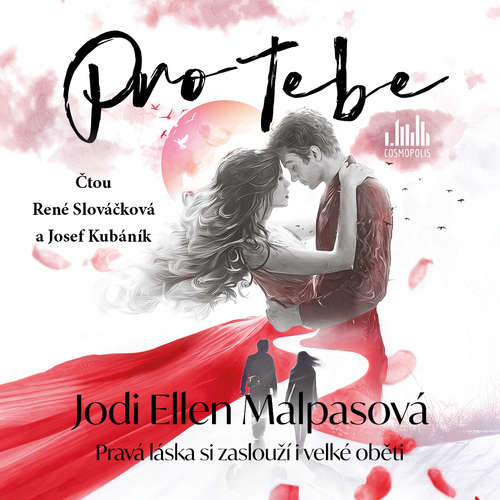 Pro tebe - Jodi Ellen Malpasová (mp3 audiokniha)