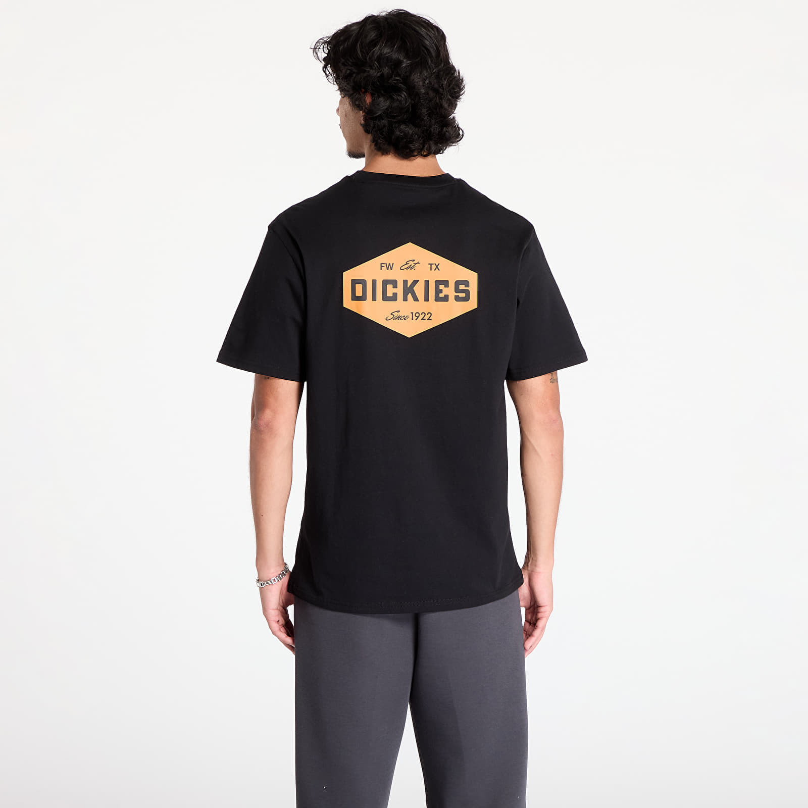 Tričko Dickies Emblem Short Sleeve Tee Black XXL