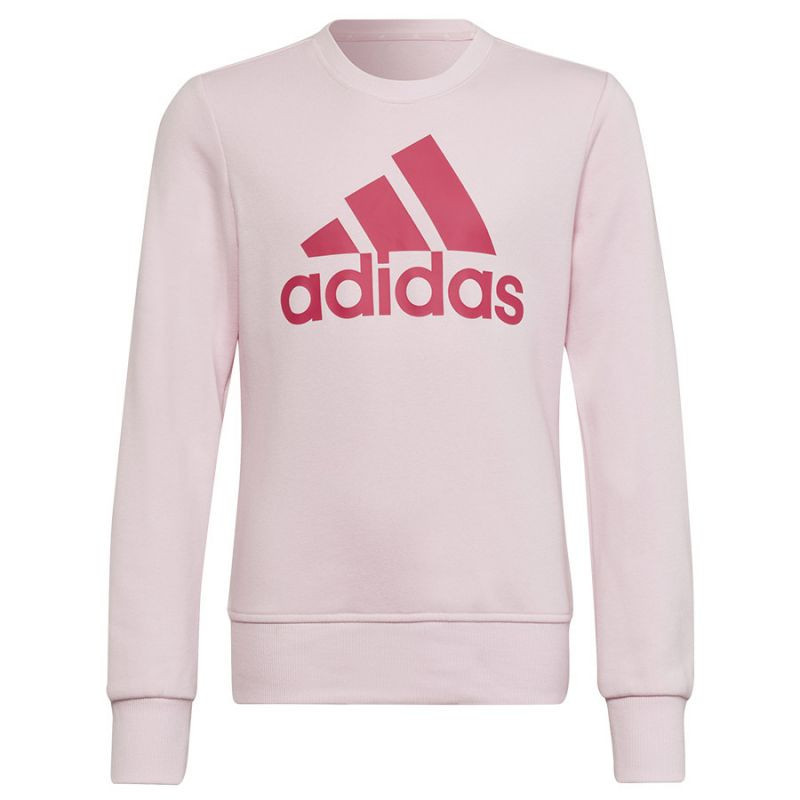 Mikina Adidas Big Logo SWT Jr HM8709 116 cm
