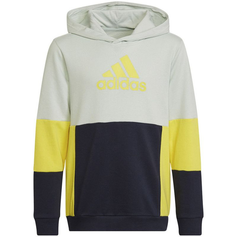 Adidas Colourblock Hoodie Jr HN8567 128CM