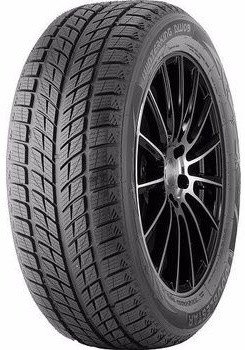 Doublestar WINTERKING DW09 235/55 R20 102H