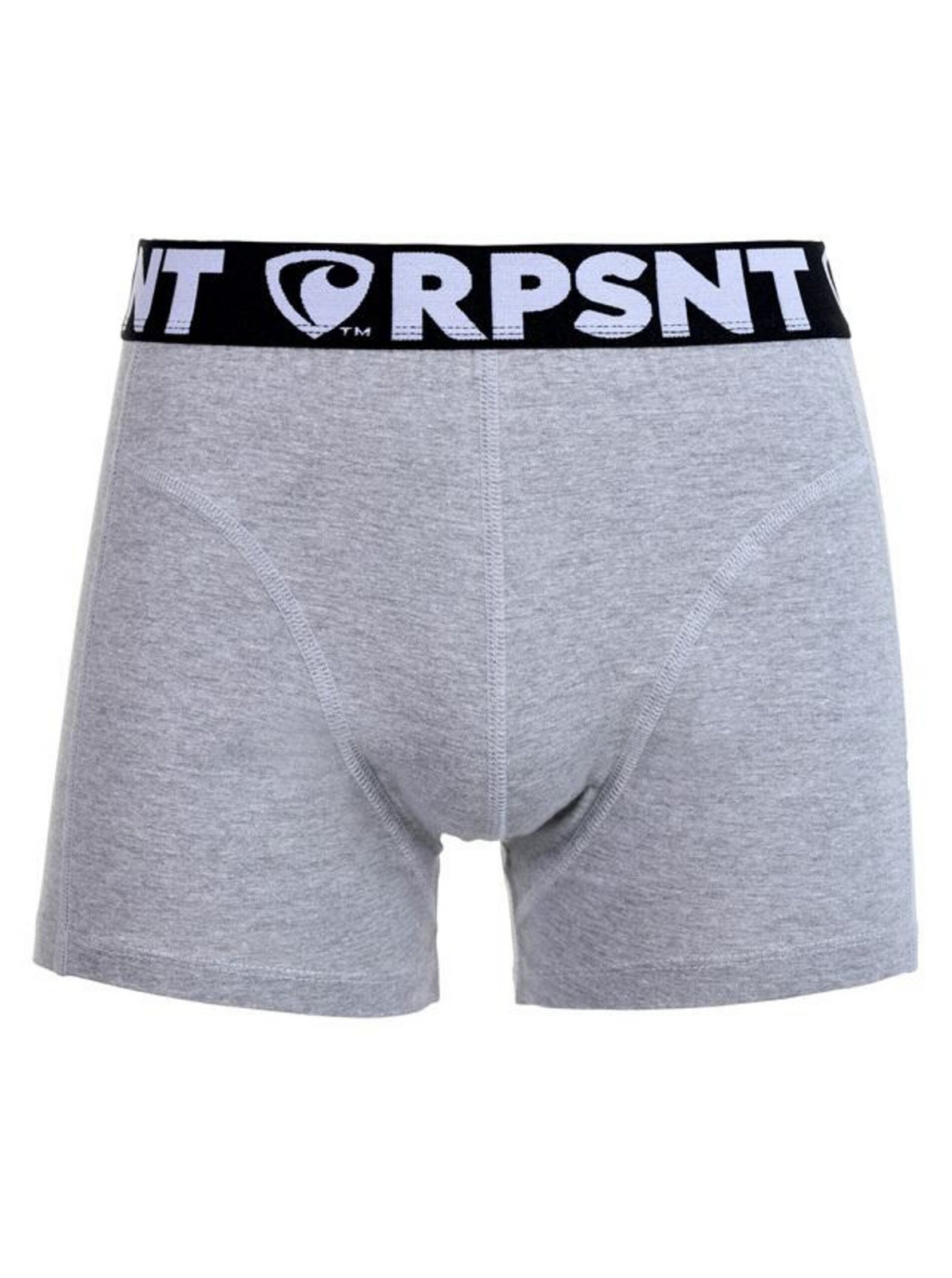 Pánske trenírky EXCLUSIVE SPORT GREY Represent