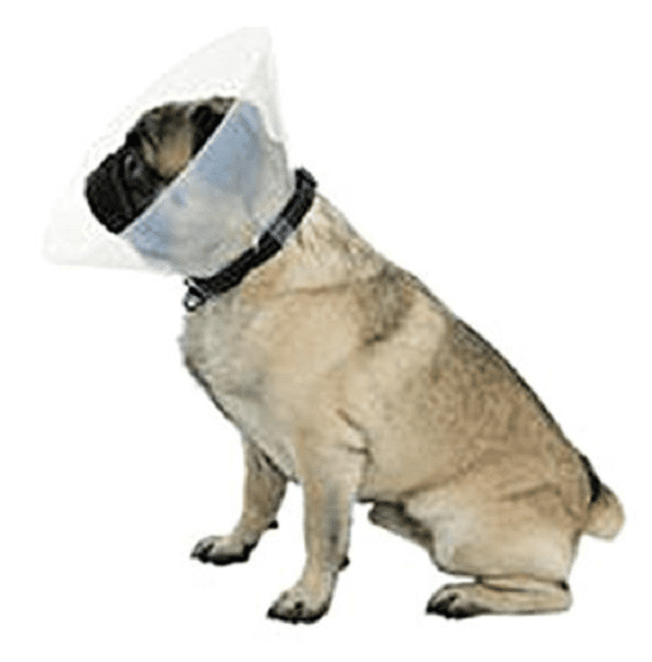 BUSTER Golier ochranný pre brachycefalické plemená psov, veľ. S