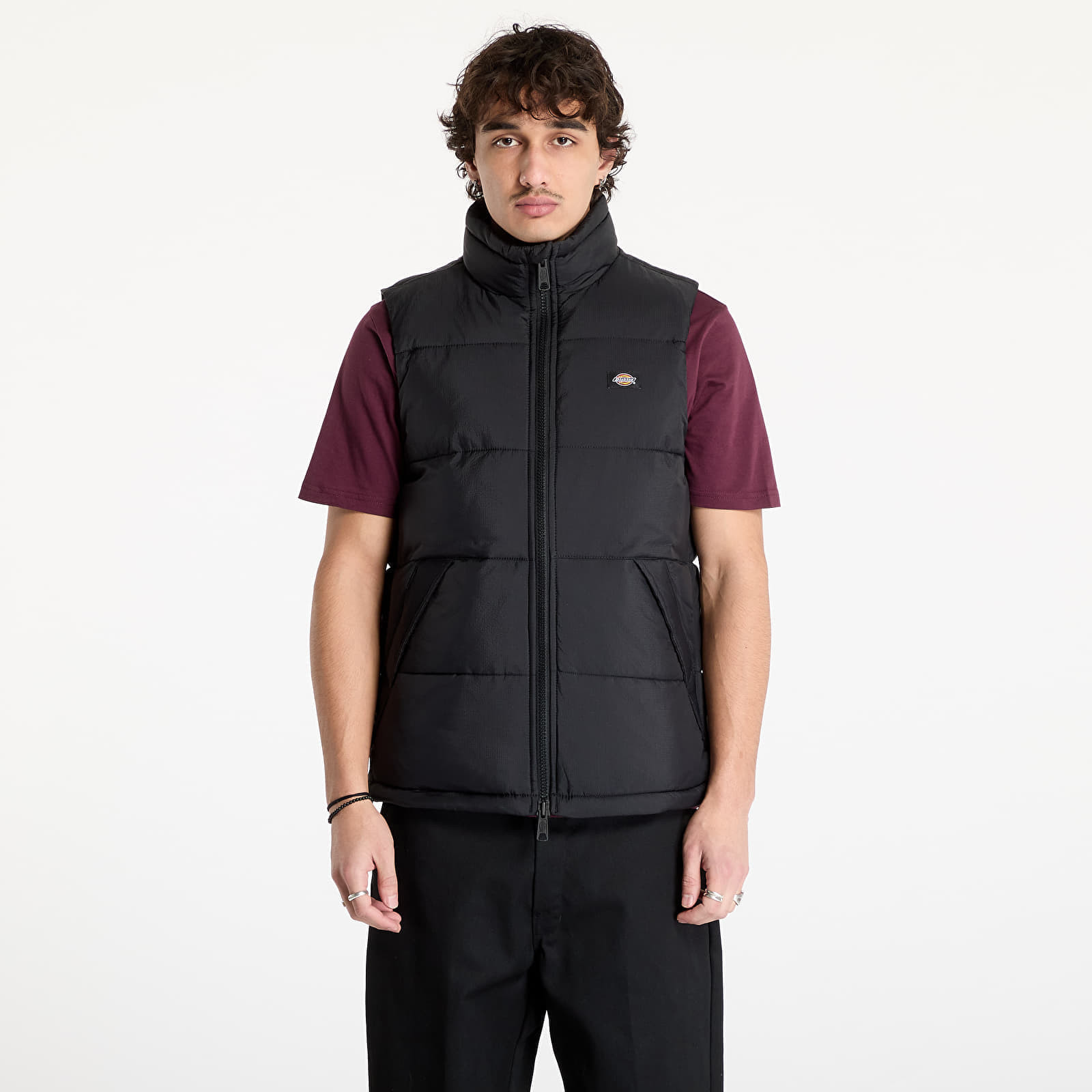 Dickies Waldenburg Vest Black M