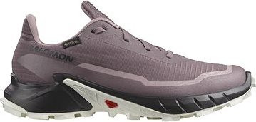 Salomon Alphacross 5 GTX W Mnscap/Black/Wh EU 40 2/3/250 mm