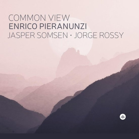 PIERANUNZI, ENRICO - COMMON VIEW, CD