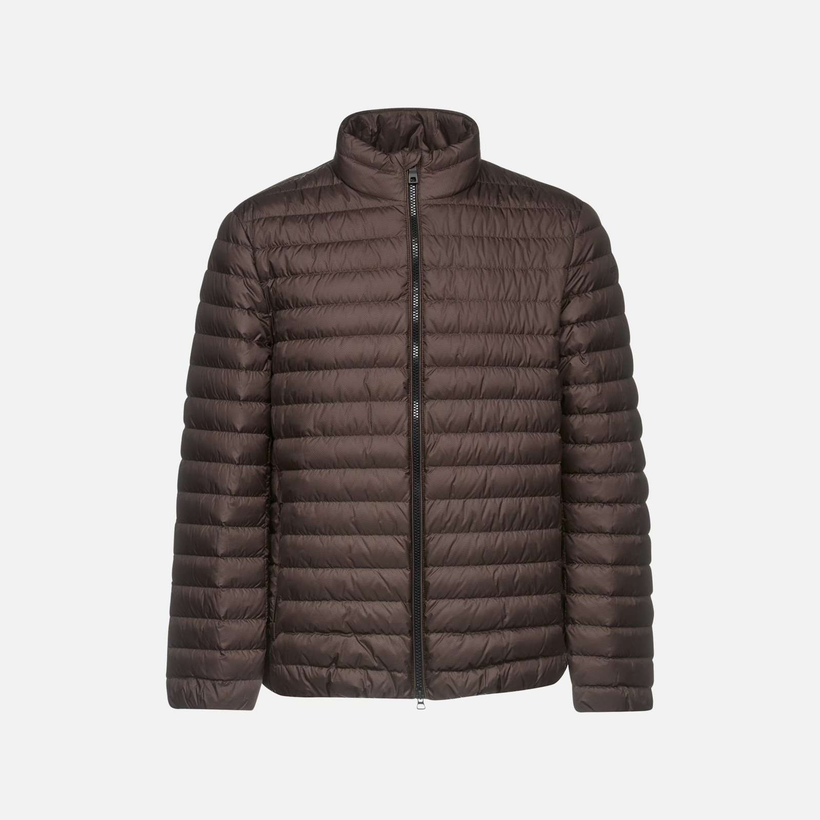 Brown men's down jacket Geox Dereck - Men's