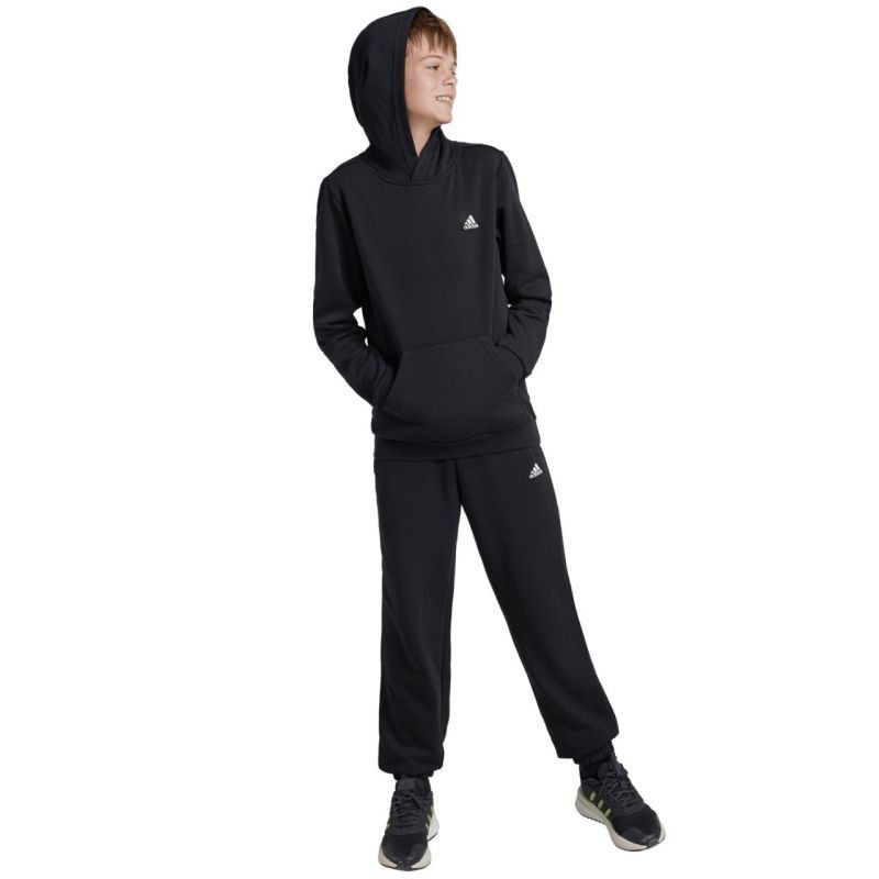 Adidas Essentials Small Logo Feel Cozy Fleece Jr IV7311 152CM