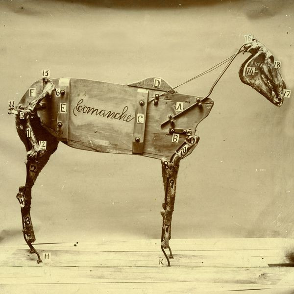 CHADWICK STOKES - THE HORSE COMANCHE, Vinyl