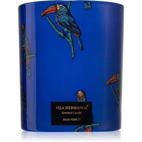Vila Hermanos Jungletopia Rain Forest vonná sviečka 200 g