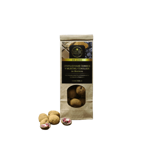 Healthy Planet Mrazom sušené černice v mliečnej čokoláde a škorici 50 g