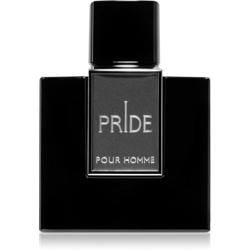 Afnan Pride Homme parfumovaná voda pre mužov 100 ml