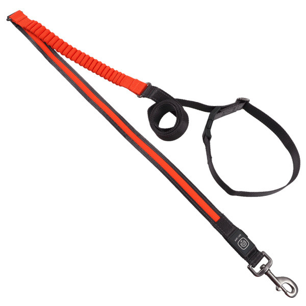 Svietiace bežecké vodítko Dog Fantasy oranžové 180-250cm