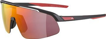 Alpina Turbo PRO Youth black matt