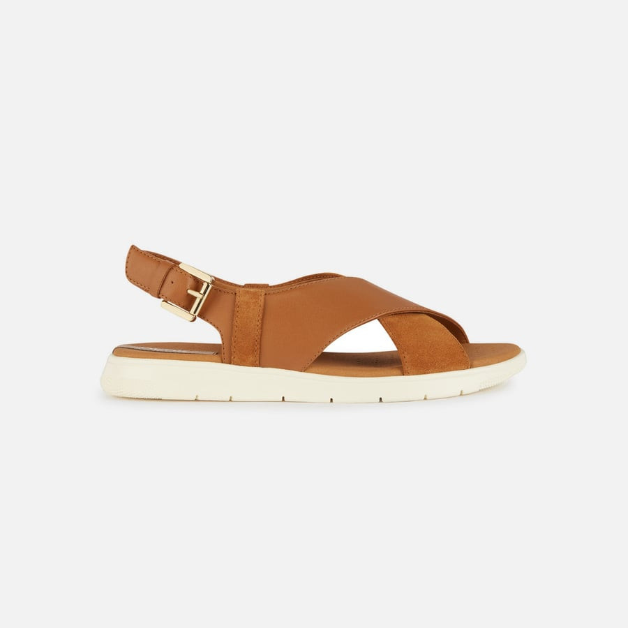 Brown women's sandals Geox Dandra - Women's