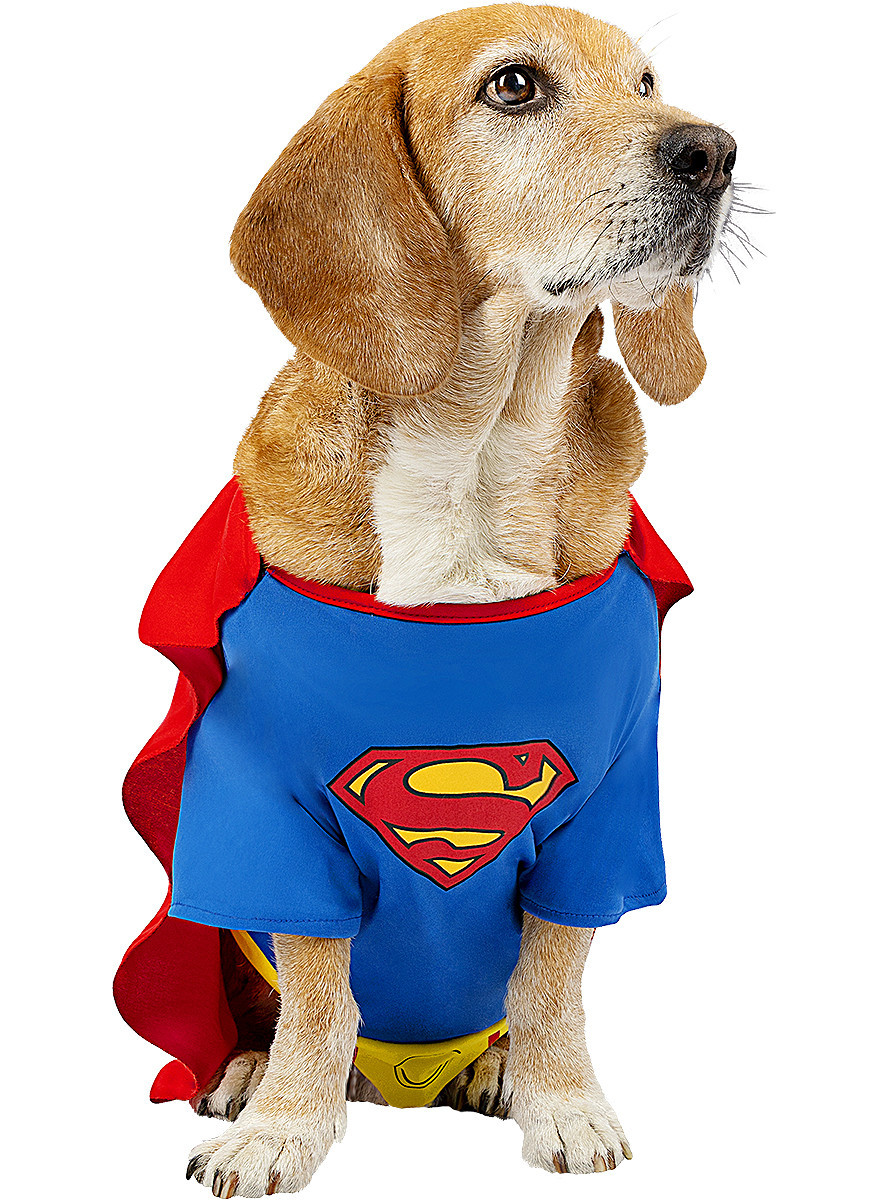 HeliumKing Kostým pre psa - Superman Veľkosť - dospelý: L