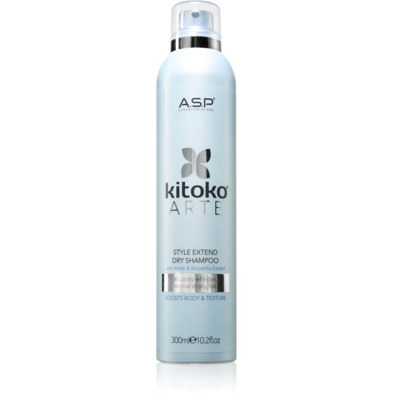 ASP kitoko Arte Extend Dry Shampoo suchý šampón 300 ml