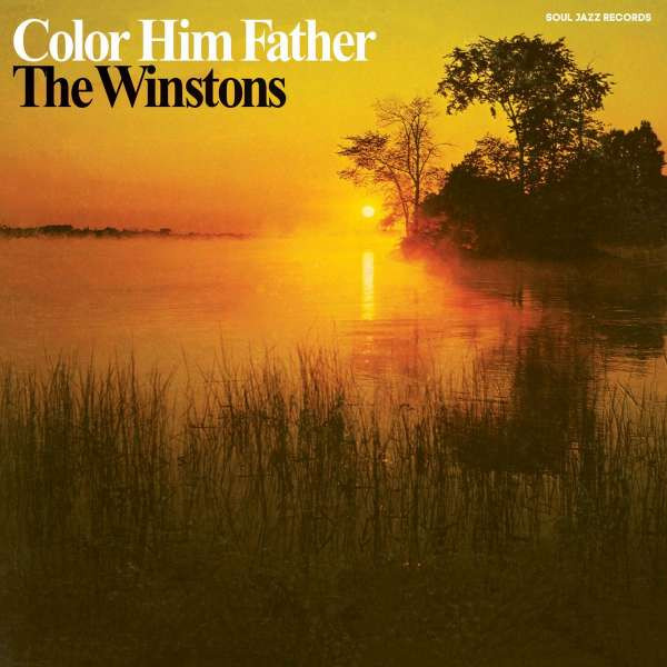 Winstons, the - Color Him Father, CD