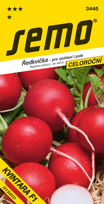 SEMO Reďkovka kvintara