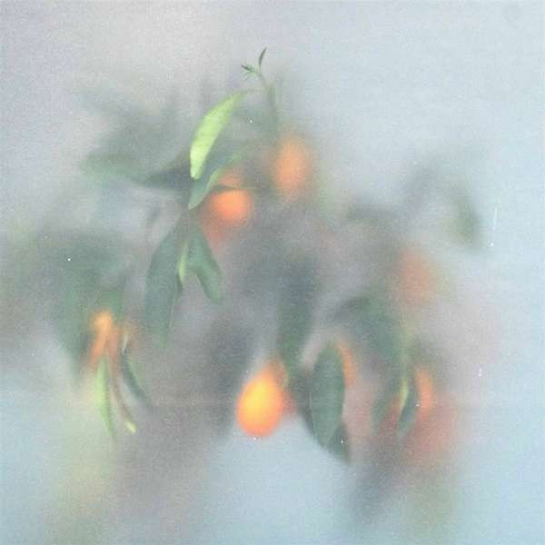 & Mrs Jynx - Secret Garden