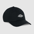 Šiltovky Dickies Essential dad cap