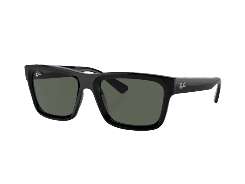Ray-Ban Warren RB4396 667771