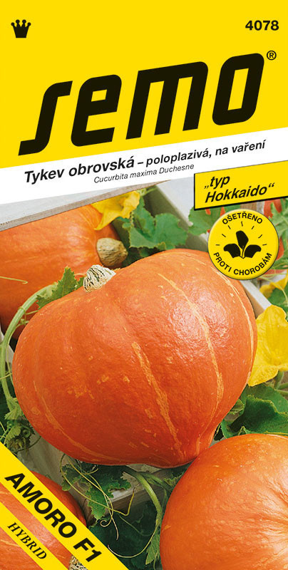 SEMO Tekvica AMORO F1