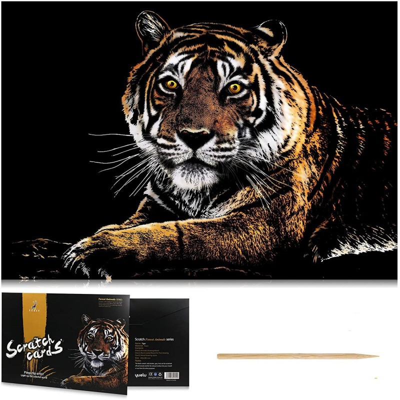 NO-1006246 DR Vyškrabávací obrázok - Tiger