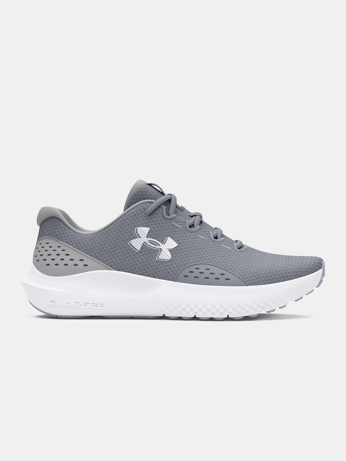 Men's shoes Under Armour UA Charged Surge 4-GRY - Men's