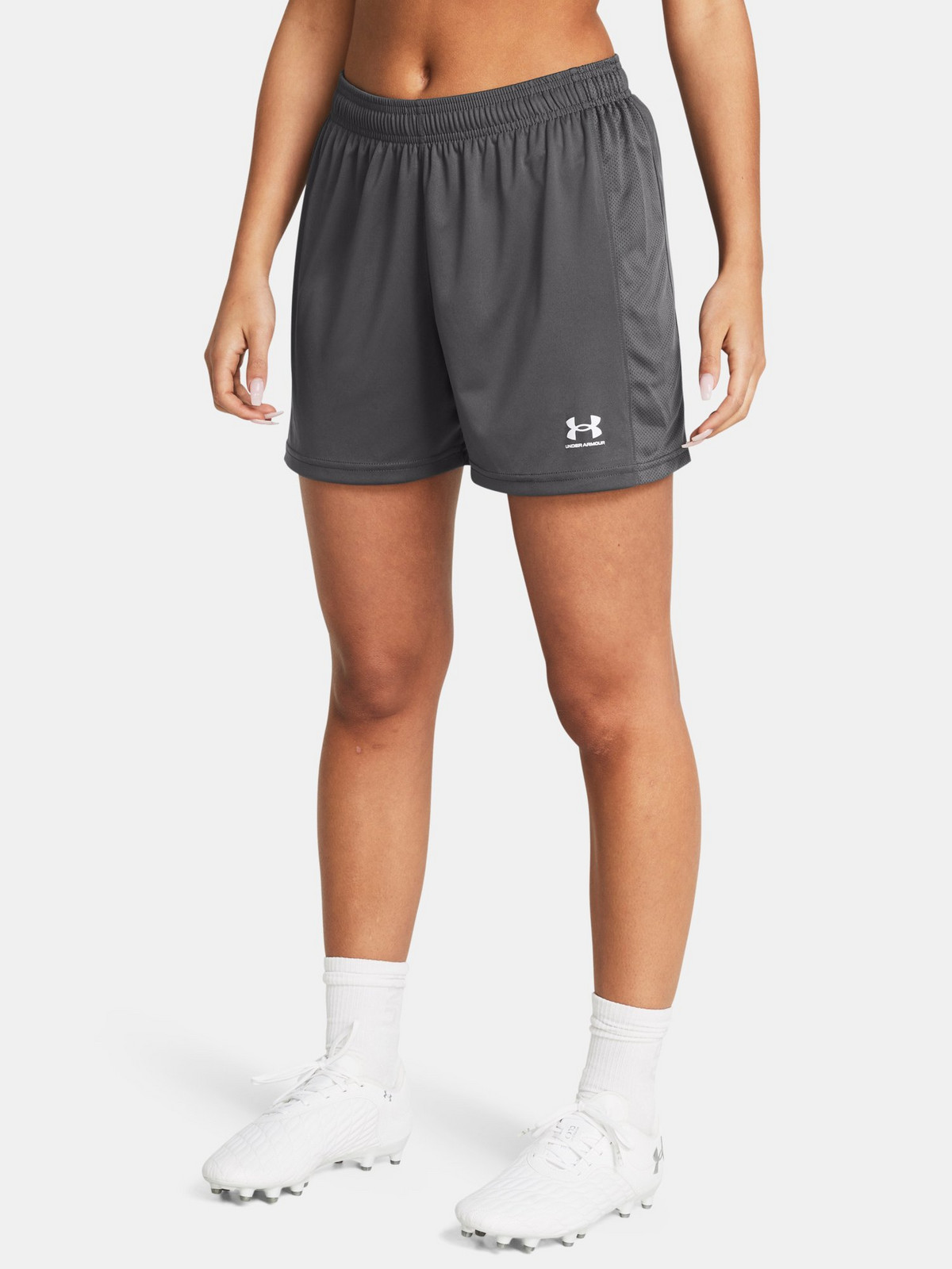 Women's shorts Under Armour UA W's Ch. Knit Short-GRY - Women's